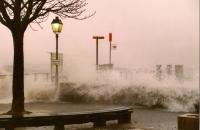 Bord du lac léman, tempête Lothar