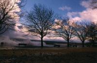 Bord du lac Léman, tempête Lothar