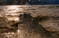 Bord du lac Léman, tempête Lothar